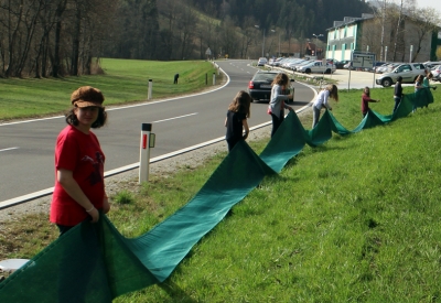 Errichtung des Krötenzauns